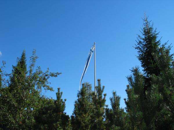 Kotipihan is�nn�nviiri